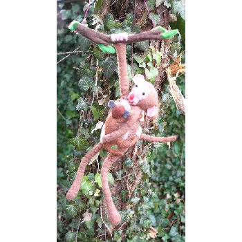 Monkey Holding Baby